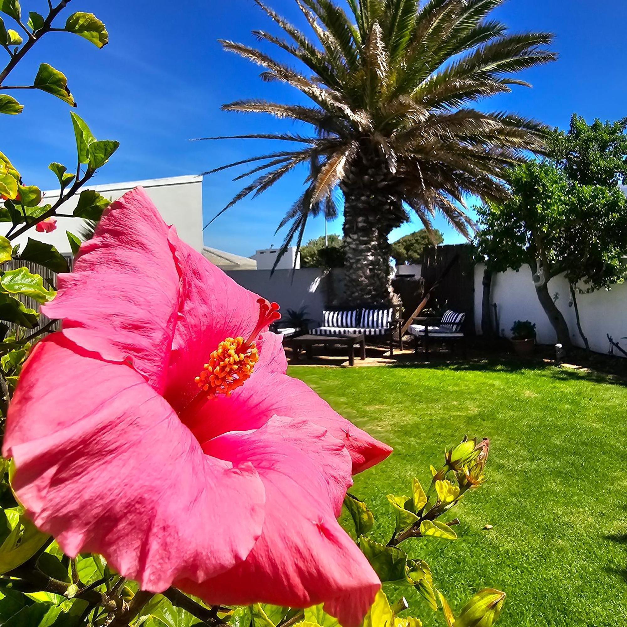 Swept Away Guesthouse - No-Loadshedding Yzerfontein Extérieur photo